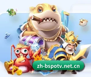 b体育的故事